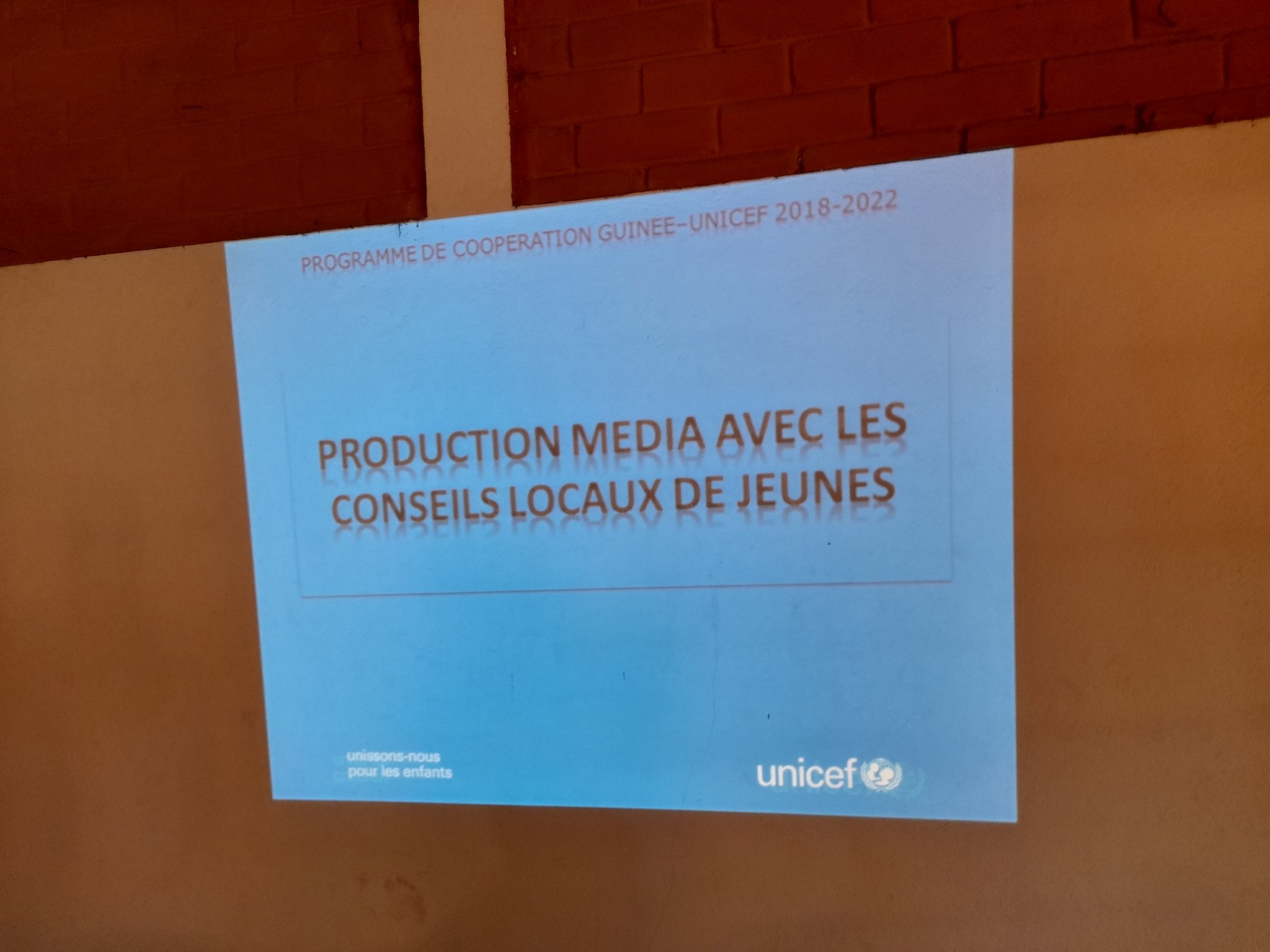 Moyenne Guinée : les Conseils Locaux des Jeunes peaufinent leur stratégie de communication 